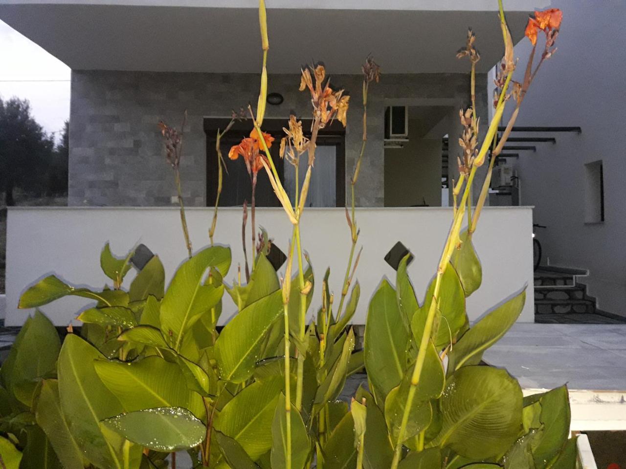 Villa Oliva Asztrída Kültér fotó